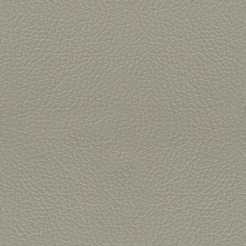 Grade A - Pauly ( ExpressShip Fabric) - Mist