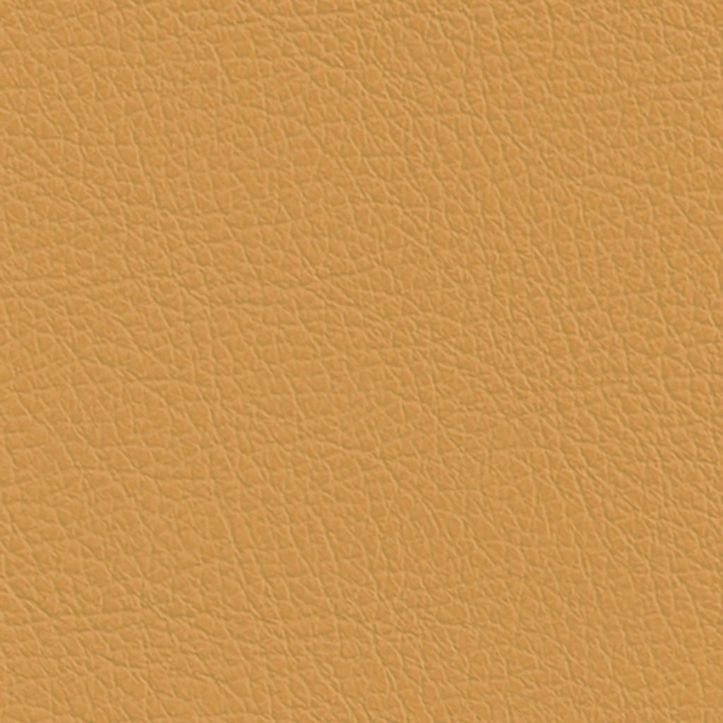 Grade A - Pauly ( ExpressShip Fabric) - Straw