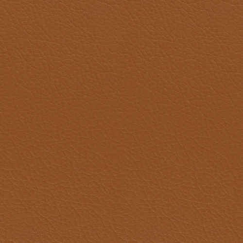 Grade A - Pauly ( ExpressShip Fabric) - Camel