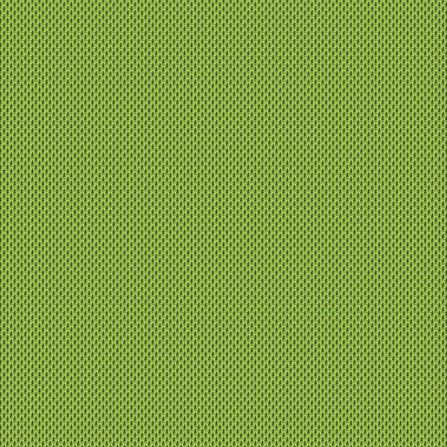 Group D: Nexus Camira NEX05 - Kiwi