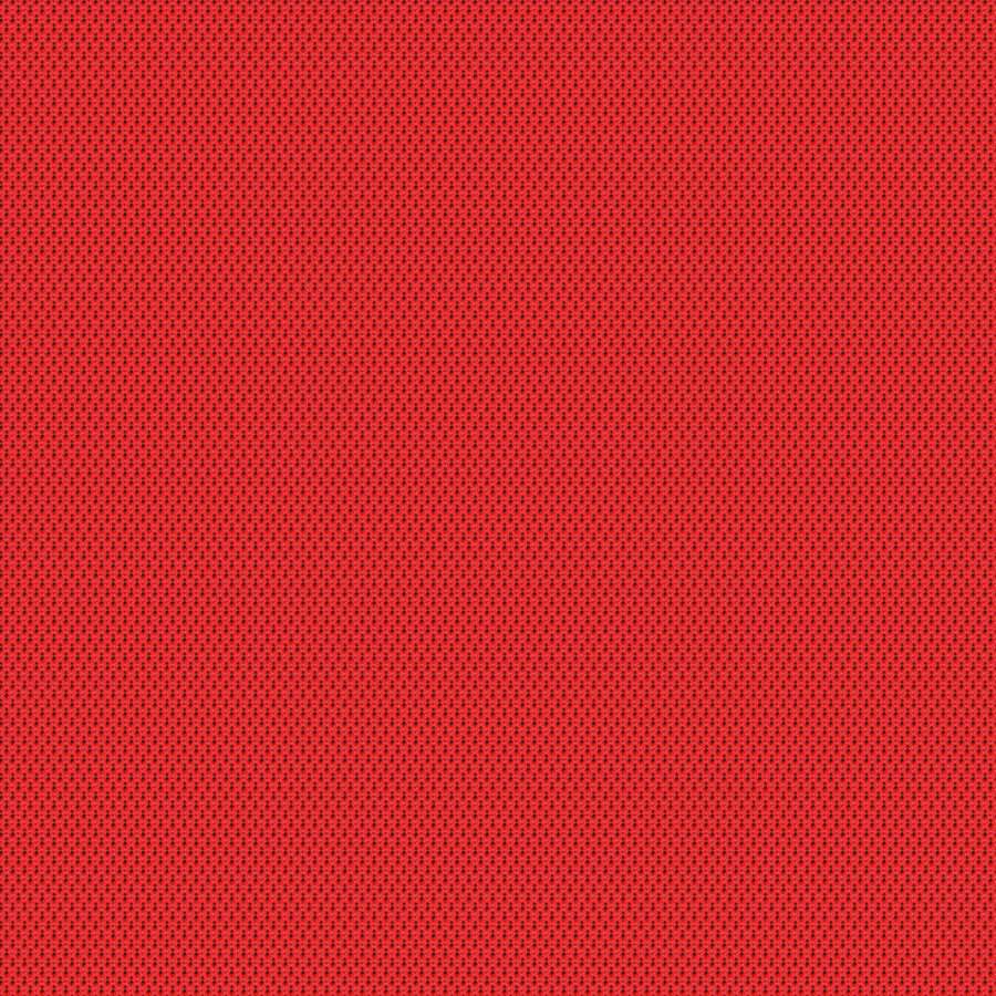 Group D: Nexus Camira NEX16 - Russian
