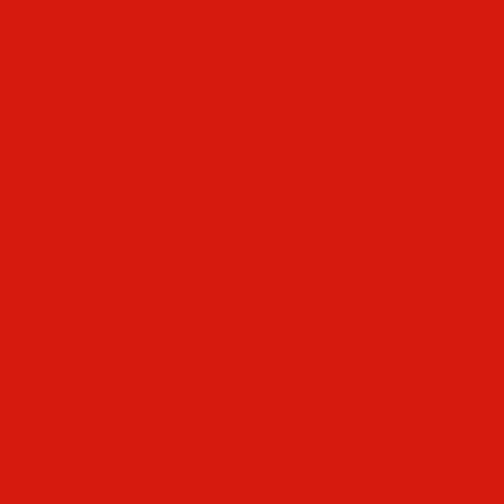 RD05 - Bright Red Rope