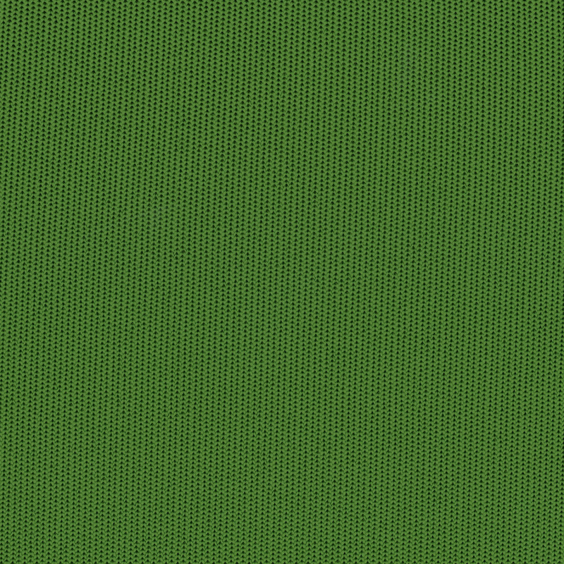Grade 1 - Reset: Wild Fern (673-09)