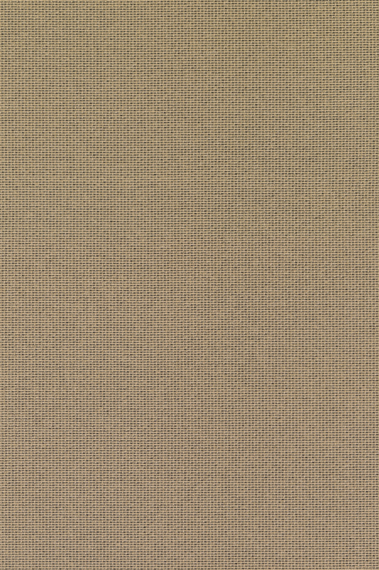 Grade 2: AU - Autumn 0221