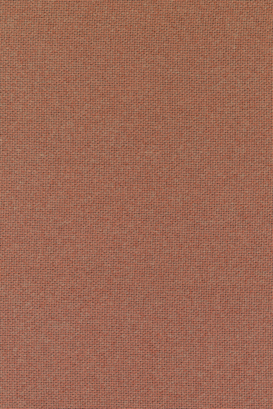 Grade 2: AU - Autumn 0551
