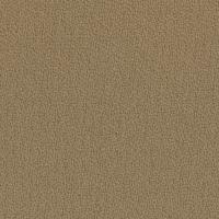Grade 1 - Oasis Sand