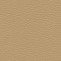 Grade L3 - Volo Butterscotch