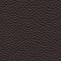 Grade L3 - Volo American Coffee Bean
