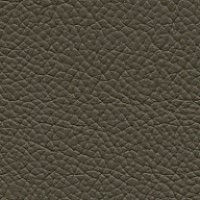 Grade L3 - Volo Deep Olive