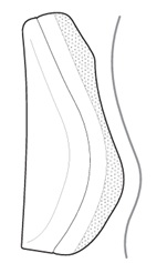 Memory Foam Back - BM