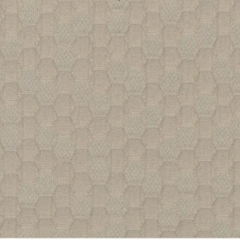 Grade B - Emerge Parchment
