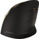 Evoluent VMCRWG Vertical Mouse C Right Wireless Gold