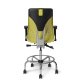 Back view - Truly. TY673 Office Master Chair in Lemon Grass PolyBack