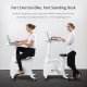 Flexispot ProMax V9 All-in-One Ergonomic Desk Bike