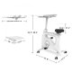 Flexispot ProMax V9 All-in-One Ergonomic Desk Bike
