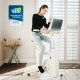 Flexispot ProMax V9 All-in-One Ergonomic Desk Bike