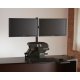 HealthPostures 6200 with 2 monitors