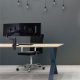 Ergotron 45-489-224 LX Desk Dual Direct Arm (matte black)