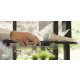 Ergotech FDM-STAND-1 Single Freedom Sit-Stand Desk Workstation