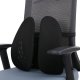 Flexispot LS1B Lumbar Support