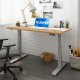 Flexispot EC4 Dual Motor Electric Height Adjustable Standing Desk