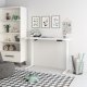 Flexispot EC9 Vici Quick Install Electric Height Adjustable Standing Desk