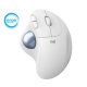Logitech Ergo M575 Wireless Trackball Mouse