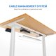 Flexispot E8 Oval Shaped Electric Height Adjustable Desk