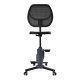 Flexispot FC211 F1 Sit2Go 2-in-1 Fitness Chair