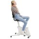 Flexispot FC211 F1 Sit2Go 2-in-1 Fitness Chair