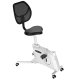 Flexispot FC211 F1 Sit2Go 2-in-1 Fitness Chair