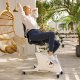 Flexispot FC211 F1 Sit2Go 2-in-1 Fitness Chair