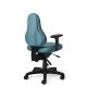 Ergodirect LAM-DB53 Ergonomic Low-back Task Chair