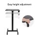 Flexispot MT3-E Height Adjustable Sit-Stand Mobile Desk (white)