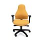RFM Carmel Medium Back Multi-Function Ergonomic Task Chair 