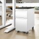 Mobile Pedestal Slim with Cushion