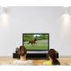 Ergotron 61-061-085 Glide Wall Mount, HD