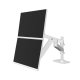 Ergotron 45-714-290 LX Pro Dual Stacking Arm, C-Clamp (white)