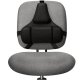 Fellowes 8037601 Back Support with Microban Antimicrobial Protection