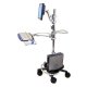 Ergotron LX Mobile WorkStand Computer Cart. Note: Optional Parts to purchase separately.
