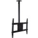 Ergotron 60-842-223 Neo-Flex Ceiling Mount
