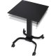 Ergotron 24-458-200 LearnFit