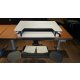 WorkFit-TL together with Dual Mouse Keyboard Tray for an Ergonomic Workstation