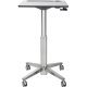 Ergotron 24-547-003 LearnFit Sit-Stand Desk for Students 6 years and over