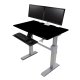 Ergotron 24-567-F03 WorkFit-DL 48, Sit-Stand Desk (Black)