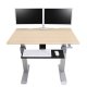 Ergotron 24-567-F13 WorkFit-DL 48, Sit-Stand Desk (Maple)